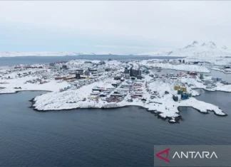 PM Greenland tidak Tahu Apa yang Disepakati Antara Trump dan NATO