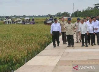 Prabowo Bertekad Indonesia Swasembada Pangan Tiap Tahun