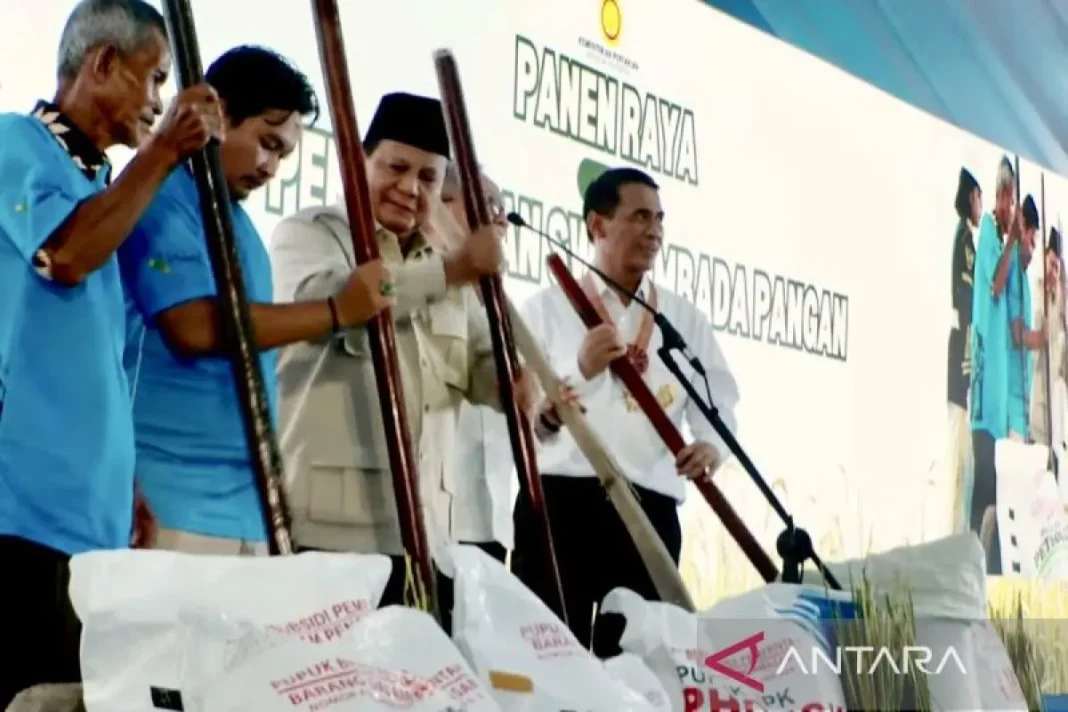 Prabowo umumkan Indonesia resmi swasembada pangan pada tahun 2025