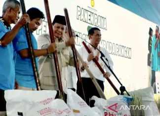 Prabowo Umumkan Indonesia Resmi Swasembada Pangan pada Tahun 2025
