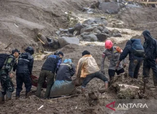 Prajurit hingga Anjing Pelacak Dikerahkan Cari Personel TNI AL Korban Longsor