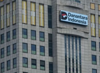 Diperkenalkan di WEF, Indef Yakin Danantara Beri Perubahan ke Ekonomi