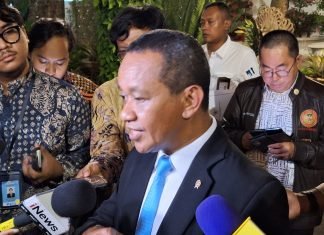 Indonesia Resmi Kuasai 63 Persen Freeport, Tambahan 12 Persen Saham Gratis