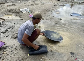 Kebun Rusak, Warga Aceh Tenggara Mendulang Emas di Sungai Pascabanjir