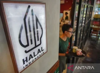 MUI Respons Kesepakatan RI-AS soal Produk dan Sertifikasi Halal