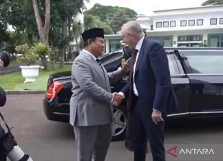 Presiden Prabowo terima kunjungan PM Albanese di Istana Merdeka