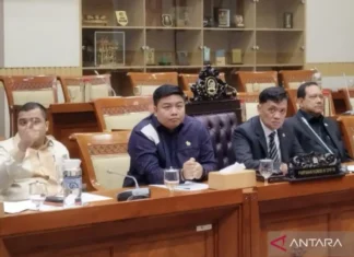 Anggota DPR Sebut Prabowo sangat Peduli Ekraf saat Respons Kasus Amsal