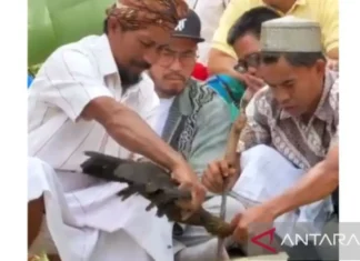 Bareskrim Polri Kembali Periksa Pandji Pragiwaksono pada Senin