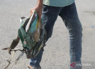 Hegseth: AS Selidiki Serangan ke Sekolah Iran yang Tewaskan 168 Siswi