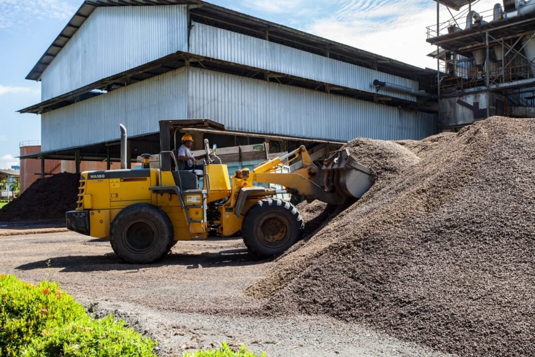 IPB Dorong Pemanfaatan Limbah Kelapa Sawit Jadi Produk Bernilai Ekonomis dan Ramah Lingkungan
