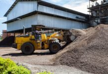 IPB Dorong Pemanfaatan Limbah Kelapa Sawit Jadi Produk Bernilai Ekonomis dan Ramah Lingkungan