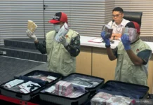 KPK Buka Peluang Usut Korupsi Kepabeanan dan Cukai di Kanwil Bea Cukai