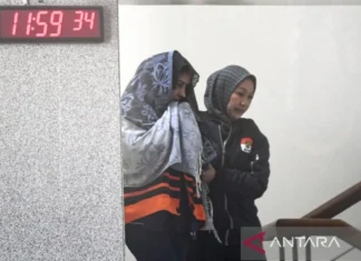 KPK Sebut Fadia Arafiq Terlibat Konflik Kepentingan lewat PT RNB