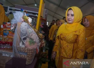KPK Umumkan Status Bupati Pekalongan Fadia Arafiq pada Rabu ini