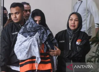 PT Raja Nusantara Berdaya Isinya Tim Sukses Fadia Arafiq