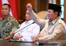 Prabowo di Ratas kemarin, Pastikan Ketersediaan Pangan Aman di tengah Krisis Global