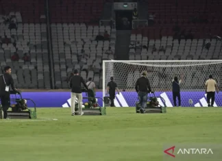 PSSI Konfirmasi Rumput SUGBK belum perlu Diperbaiki