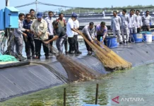 Prabowo Minta Jajaran Jalankan Proyek Produktif Guna Hasilkan Nilai Tambah