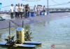 Presiden Panen Raya Udang di Kebumen