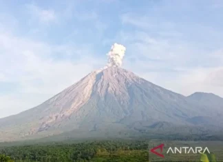 Semeru Tiga kali Erupsi dengan Tinggi Letusan hingga 800 Meter