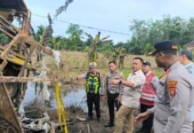 Terungkap Bus ALS Maut di Muratara Diduga Gunakan Plat Palsu, Kemenhub Sebut Izin Mati Sejak 2020