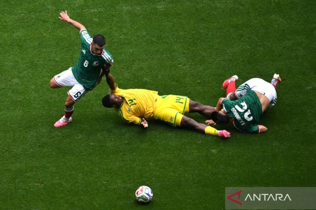 Pelatih Afrika Selatan sayangkan timnya akhiri laga dengan 9 pemain