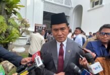 Yusril Sebut Kasus Korupsi Imigrasi yang Seret Silmy Karim Jadi Tamparan Keras bagi Pemerintah