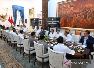 Antisipasi Dampak El Nino, Presiden Soroti Suplai Air dan Karhutla