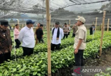 Mentan Amran Tambah 17 Juta Bibit Kopi Perkuat Produksi di Aceh