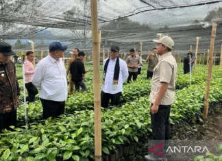 Mentan Amran Tambah 17 Juta Bibit Kopi Perkuat Produksi di Aceh
