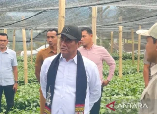 Mentan: Ekspor Satu Pintu Perkuat Posisi Tawar Komoditas Indonesia
