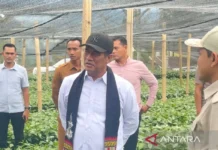 Mentan Bidik Ekspor Kopi Indonesia Tembus Rp100 Triliun per Tahun
