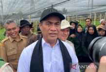 Mentan Memastikan Harga Kopi Gayo Terjaga demi Kesejahteraan Petani Aceh