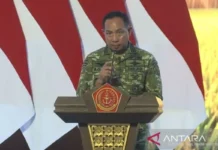 Panglima Sebut TNI Berhasil Penuhi 55 Persen Produksi Beras Nasional