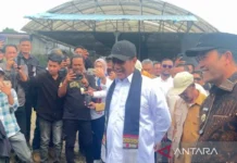 Menteri Amran Pastikan Pihak-pihak yang Permainkan Harga Sawit Ditindak Tegas
