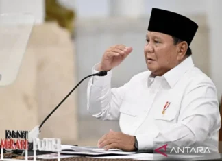 Prabowo Sebut Indonesia Swasembada Delapan Komoditas Pangan