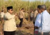 Presiden: Pemerintah Kejar Peremajaan Tebu selesai Dalam Dua Tahun