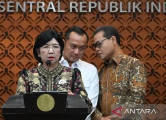 Ekonom: Penunjukan Destry jadi Pjs Gubernur BI Jaga Kepercayaan Pasar