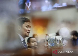 DPR: Penindakan “Pengantin Pesanan” Selamatkan Martabat Bangsa