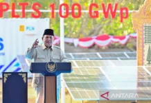 Dari Bali, Presiden akan Bertolak ke NTT cek Penanganan Gempa