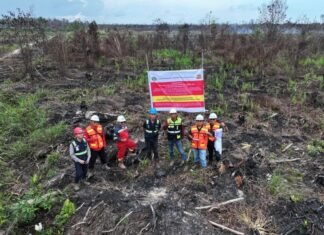 Karhutla Bongkar Borok! Kemenhut Temukan Dugaan Jual-Beli hingga Perambahan Hutan