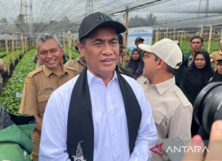 Kepala Bapanas: Stok Beras Indonesia 5,1 Juta Ton, Aman Hadapi El Nino