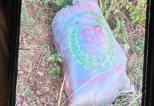 Kronologi Temuan Mayat dalam Karung di Depok hingga Penangkapan Pelaku