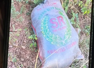 Kronologi Temuan Mayat dalam Karung di Depok hingga Penangkapan Pelaku
