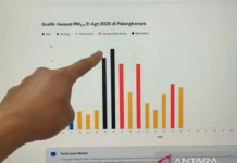Kualitas Udara di Kota Palangka Raya Sentuh Kategori Berbahaya