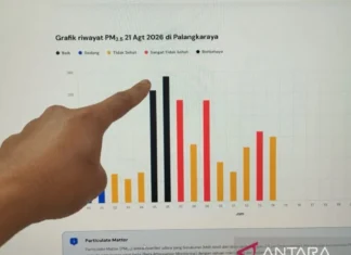 Kualitas Udara di Kota Palangka Raya Sentuh Kategori Berbahaya