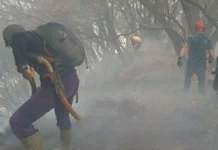 Gunung Gede Pangrango Kebakaran, Kemenhut Tutup Jalur Pendakian