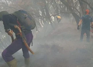 Gunung Gede Pangrango Kebakaran, Kemenhut Tutup Jalur Pendakian