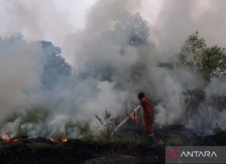 Polri Tetapkan 72 Tersangka Kasus Karhutla dari Sembilan Polda