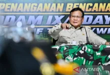 Prabowo Sampaikan Alasan Baru Tinjau Lokasi Gempa Flores